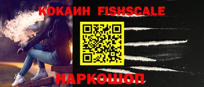 стаф Кингисепп