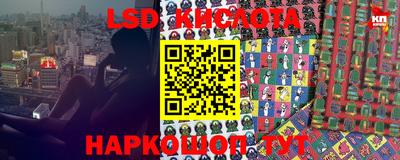 амф Кимры