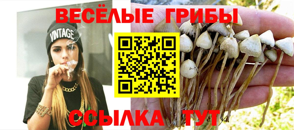 Галлюциногенные грибы GOLDEN TEACHER Котлас