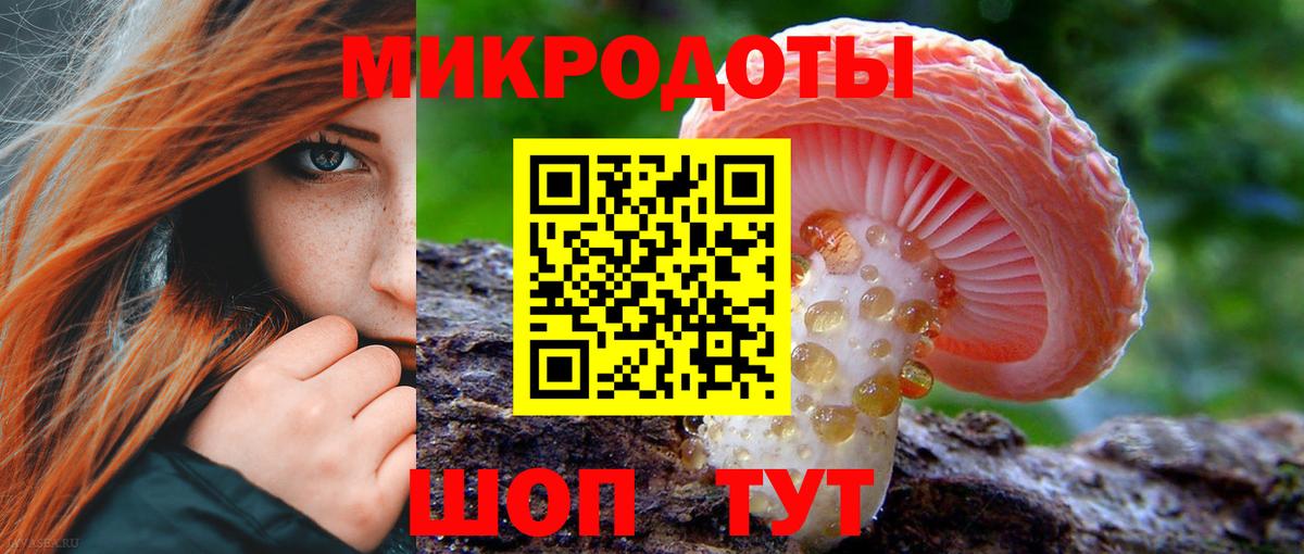 Котлас  Галлюциногенные грибы GOLDEN TEACHER  Вход с VPN  Галлюциногенные грибы мицелий 